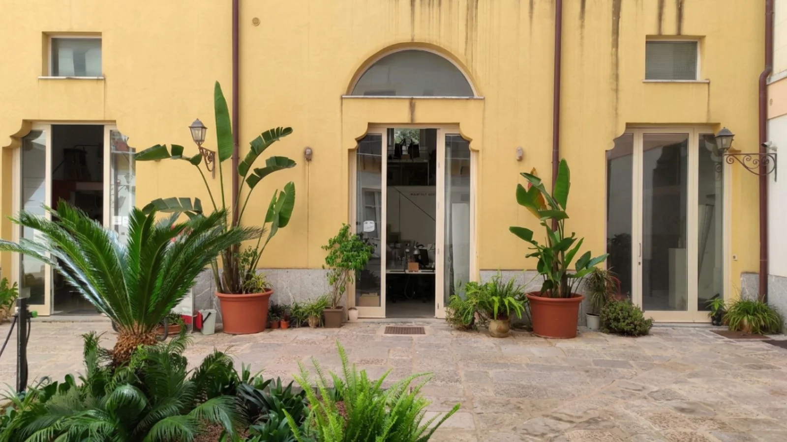Vuoi venire già domani?